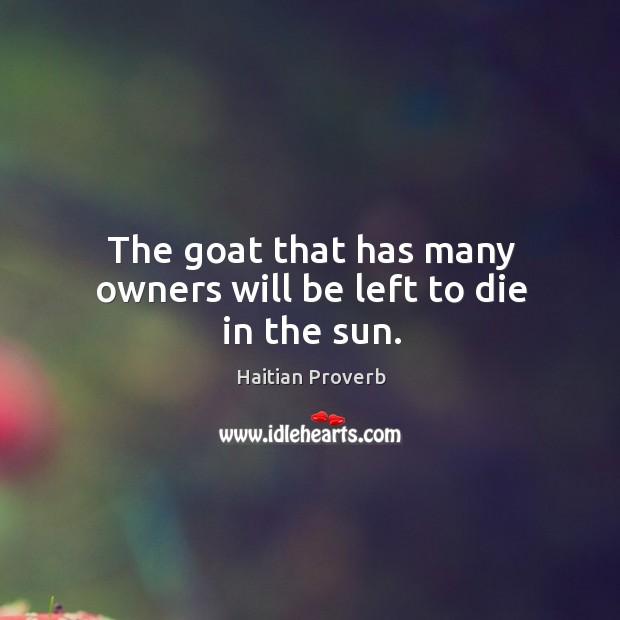 The goat that has many owners will be left to die in the sun. Haitian Proverbs Image