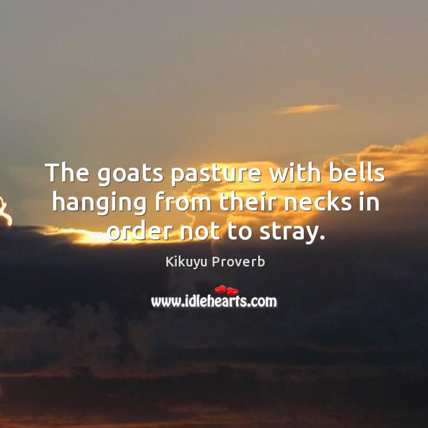 The goats pasture with bells hanging from their necks in order not to stray. Kikuyu Proverbs Image
