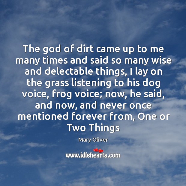The God of dirt came up to me many times and said Mary Oliver Picture Quote