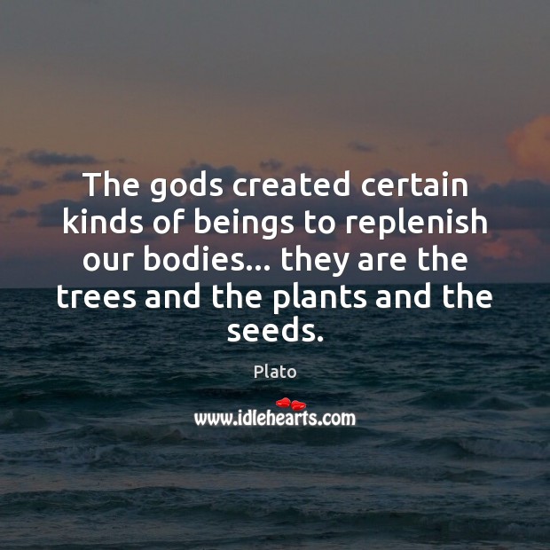 The Gods created certain kinds of beings to replenish our bodies… they Plato Picture Quote