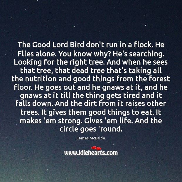 The Good Lord Bird don’t run in a flock. He Flies alone. James McBride Picture Quote