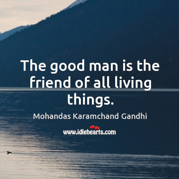 The good man is the friend of all living things. Mohandas Karamchand Gandhi Picture Quote