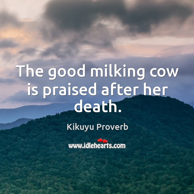 The good milking cow is praised after her death. Kikuyu Proverbs Image