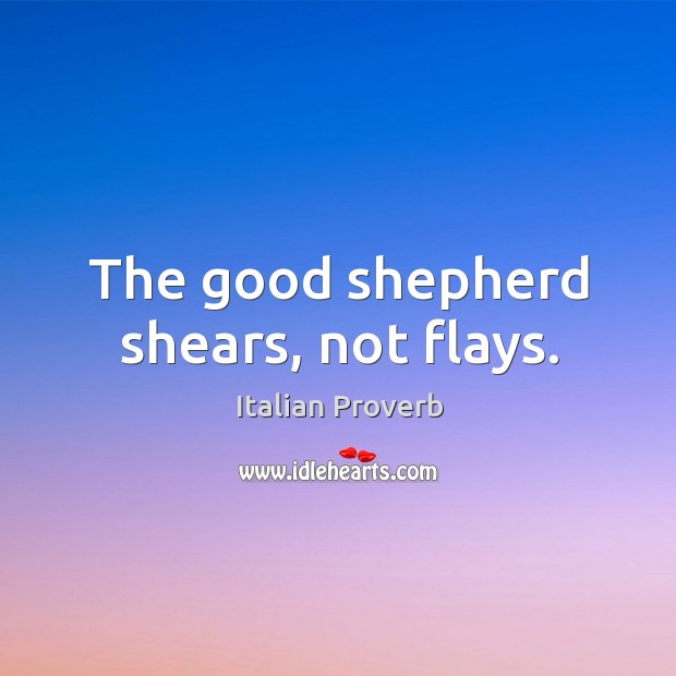 The good shepherd shears, not flays. Image