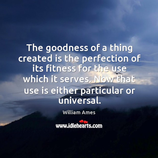 The goodness of a thing created is the perfection of its fitness for the use which it serves. William Ames Picture Quote