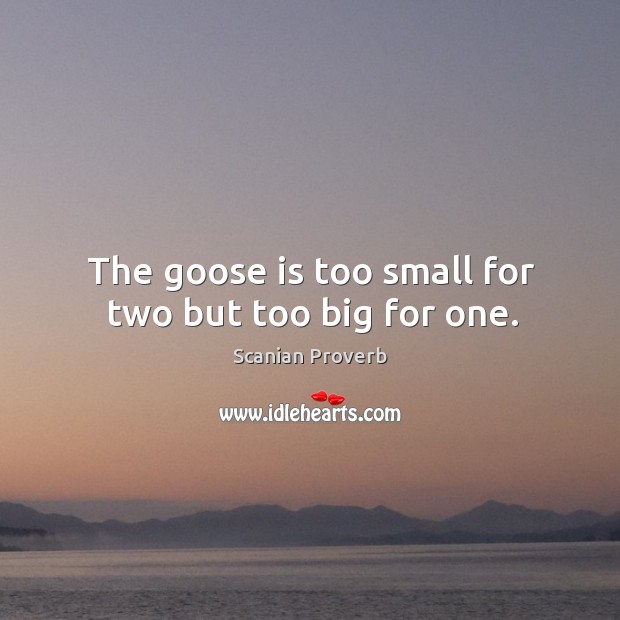 The goose is too small for two but too big for one. Scanian Proverbs Image