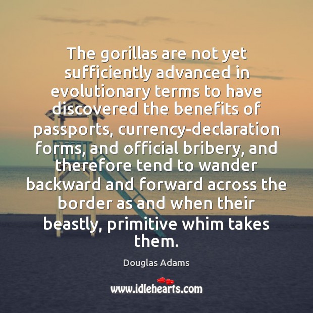 The gorillas are not yet sufficiently advanced in evolutionary terms to have Image