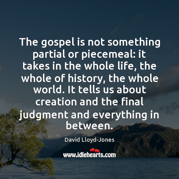The gospel is not something partial or piecemeal: it takes in the Image