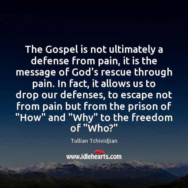 The Gospel is not ultimately a defense from pain, it is the Image