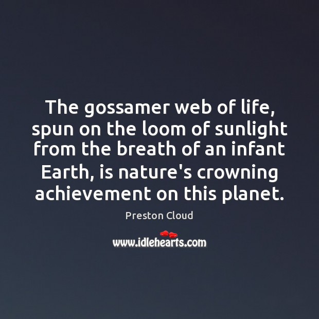 The gossamer web of life, spun on the loom of sunlight from Preston Cloud Picture Quote