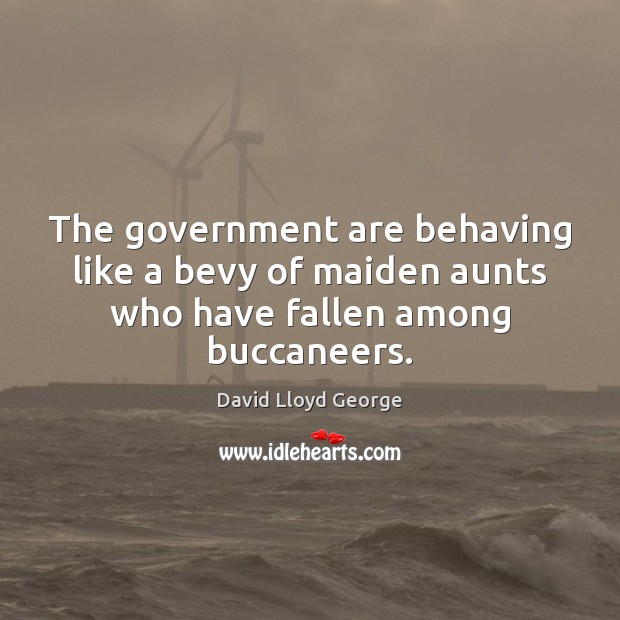 The government are behaving like a bevy of maiden aunts who have fallen among buccaneers. David Lloyd George Picture Quote