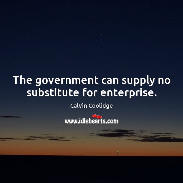 The government can supply no substitute for enterprise. Calvin Coolidge Picture Quote