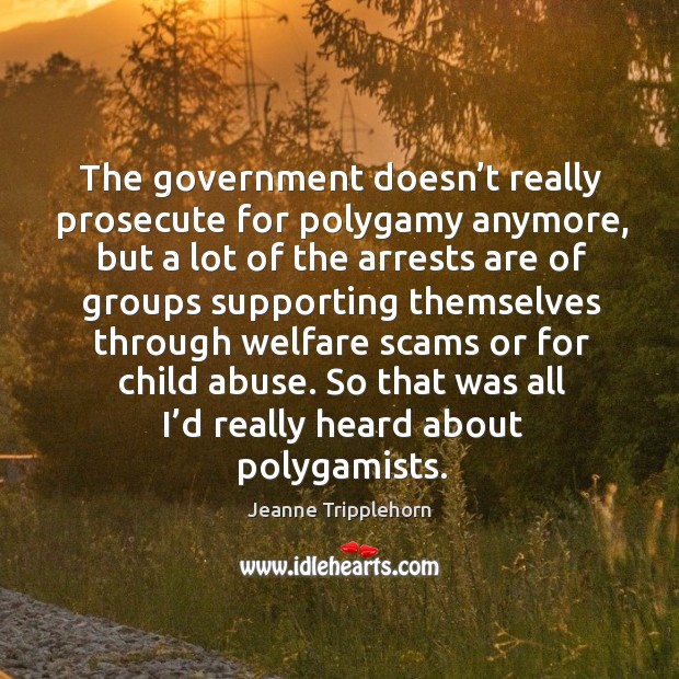 The government doesn’t really prosecute for polygamy anymore Jeanne Tripplehorn Picture Quote