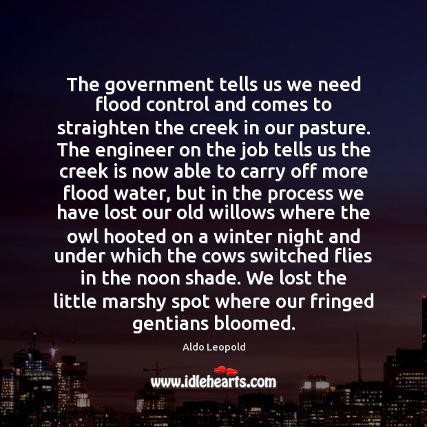 The government tells us we need flood control and comes to straighten Aldo Leopold Picture Quote