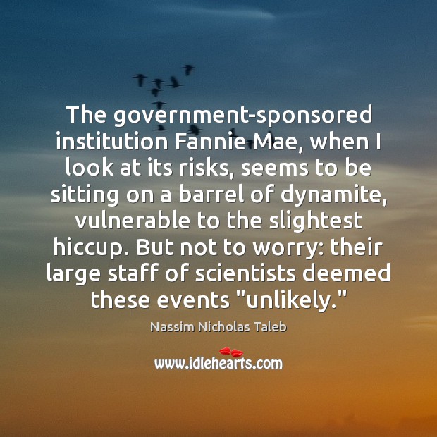 The government-sponsored institution Fannie Mae, when I look at its risks, seems Nassim Nicholas Taleb Picture Quote