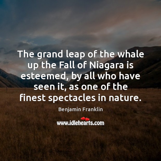 The grand leap of the whale up the Fall of Niagara is Benjamin Franklin Picture Quote