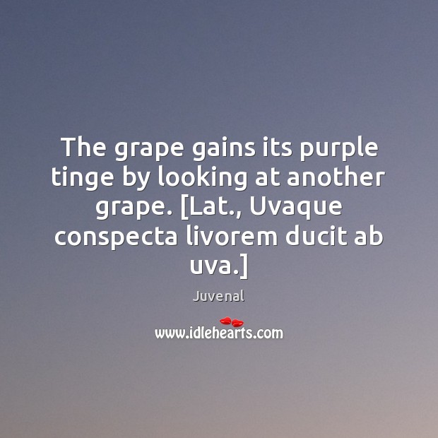 The grape gains its purple tinge by looking at another grape. [Lat., Juvenal Picture Quote