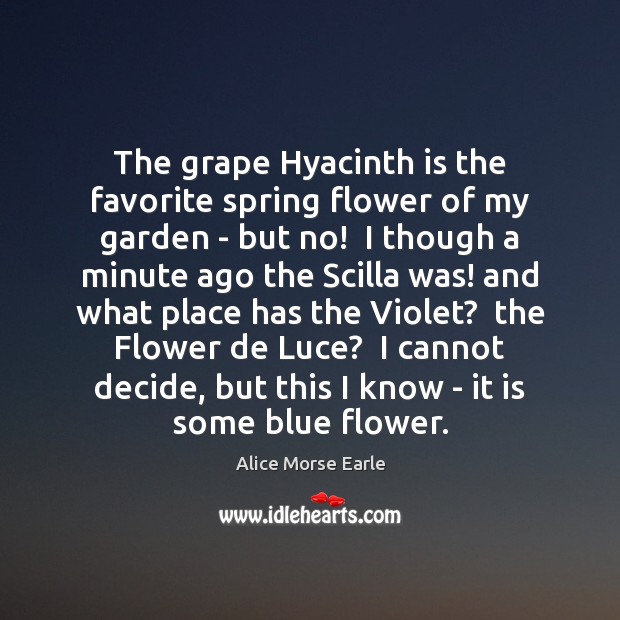 The grape Hyacinth is the favorite spring flower of my garden – Alice Morse Earle Picture Quote