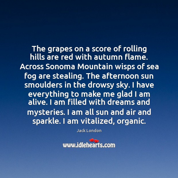 The grapes on a score of rolling hills are red with autumn Jack London Picture Quote