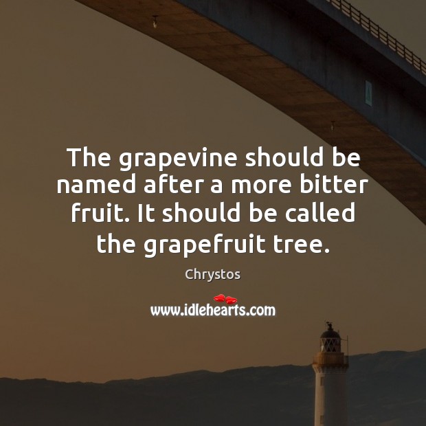 The grapevine should be named after a more bitter fruit. It should Chrystos Picture Quote