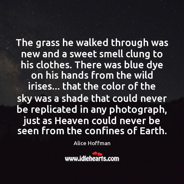 The grass he walked through was new and a sweet smell clung Alice Hoffman Picture Quote