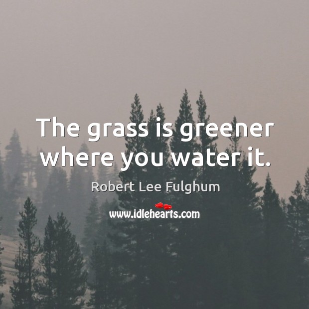 The grass is greener where you water it. Robert Lee Fulghum Picture Quote