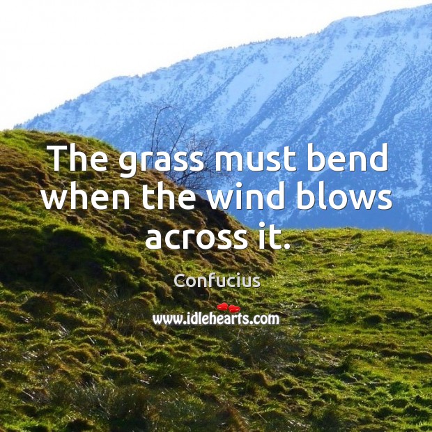 The grass must bend when the wind blows across it. Image