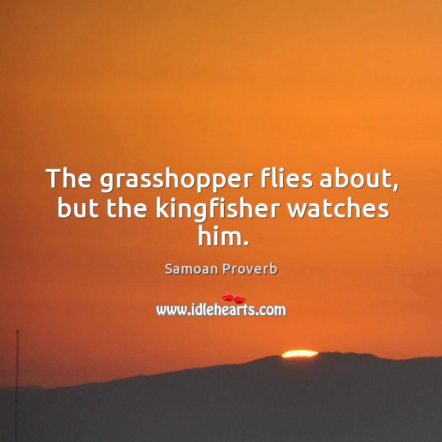 The grasshopper flies about, but the kingfisher watches him. Samoan Proverbs Image