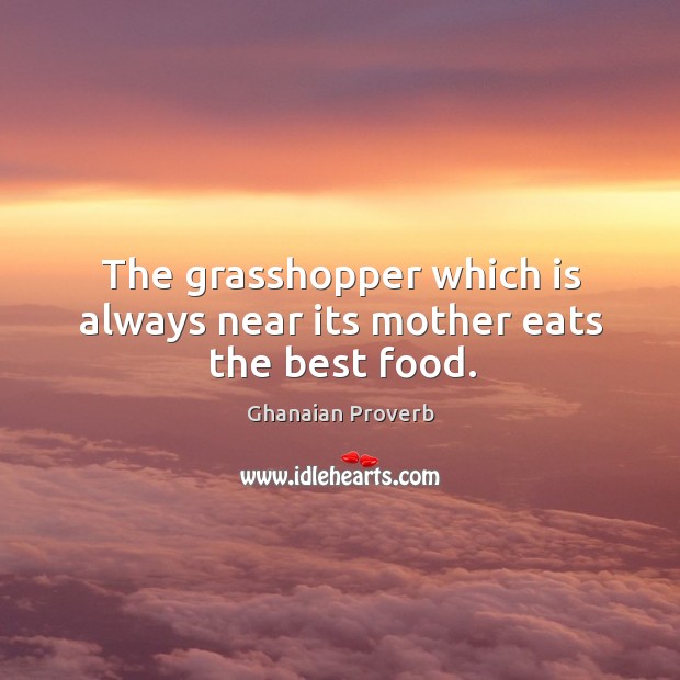 The grasshopper which is always near its mother eats the best food. Ghanaian Proverbs Image
