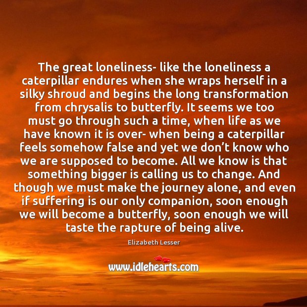 The great loneliness- like the loneliness a caterpillar endures when she wraps Image