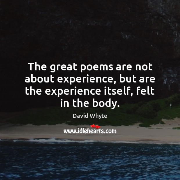 The great poems are not about experience, but are the experience itself, felt in the body. David Whyte Picture Quote