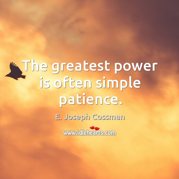 The greatest power is often simple patience. Image
