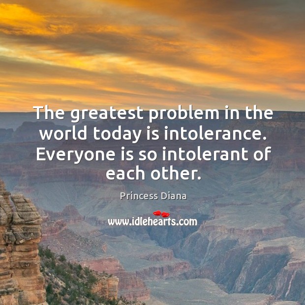 The greatest problem in the world today is intolerance. Everyone is so intolerant of each other. 