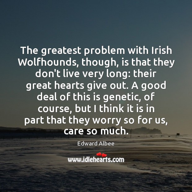The greatest problem with Irish Wolfhounds, though, is that they don’t live Edward Albee Picture Quote