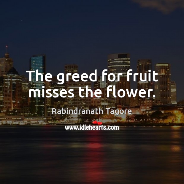 The greed for fruit misses the flower. Rabindranath Tagore Picture Quote