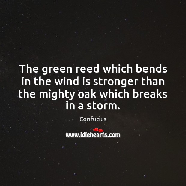 The green reed which bends in the wind is stronger than the 