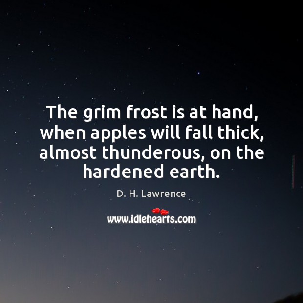 The grim frost is at hand, when apples will fall thick, almost D. H. Lawrence Picture Quote