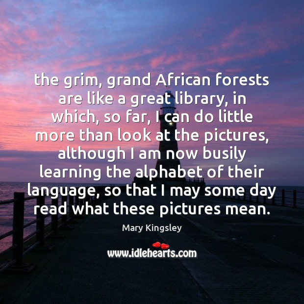 The grim, grand African forests are like a great library, in which, Image