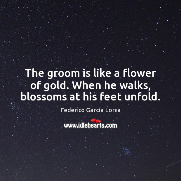 The groom is like a flower of gold. When he walks, blossoms at his feet unfold. Federico García Lorca Picture Quote