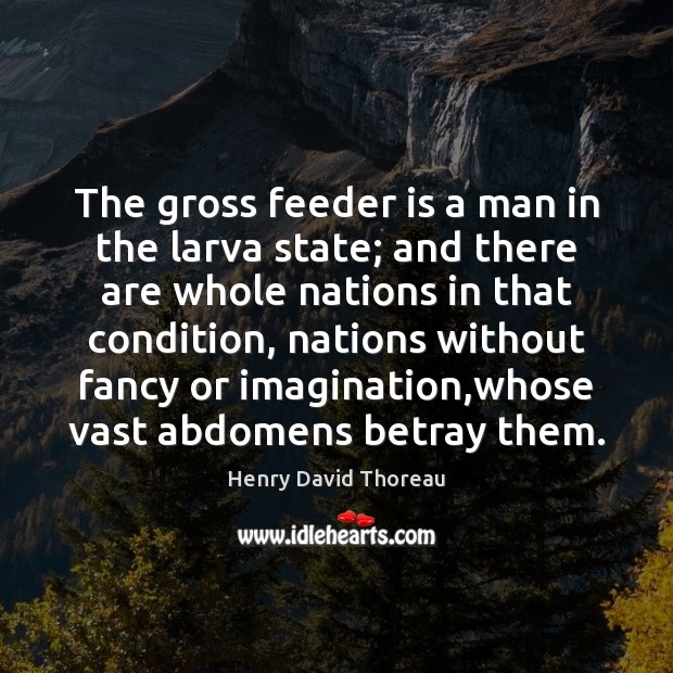 The gross feeder is a man in the larva state; and there Henry David Thoreau Picture Quote