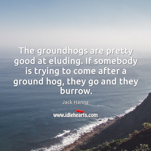 The groundhogs are pretty good at eluding. If somebody is trying to Jack Hanna Picture Quote