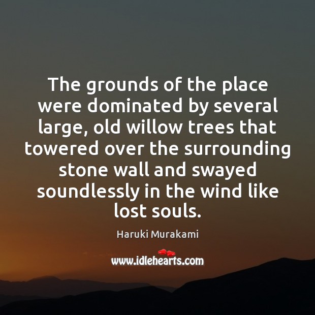 The grounds of the place were dominated by several large, old willow Haruki Murakami Picture Quote