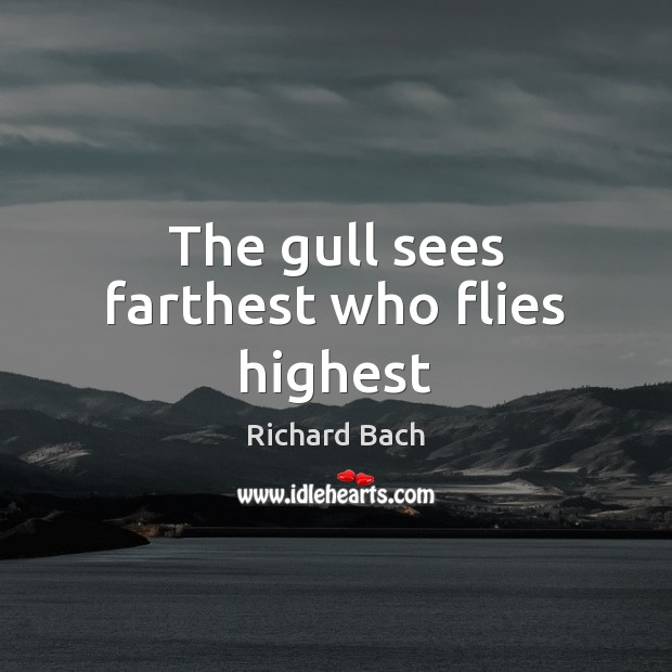 The gull sees farthest who flies highest Richard Bach Picture Quote