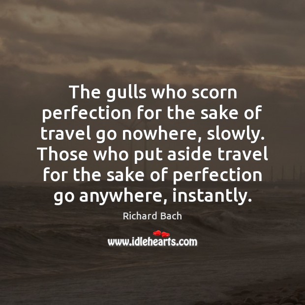 The gulls who scorn perfection for the sake of travel go nowhere, Richard Bach Picture Quote