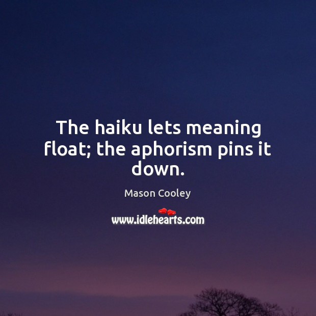 The haiku lets meaning float; the aphorism pins it down. Mason Cooley Picture Quote
