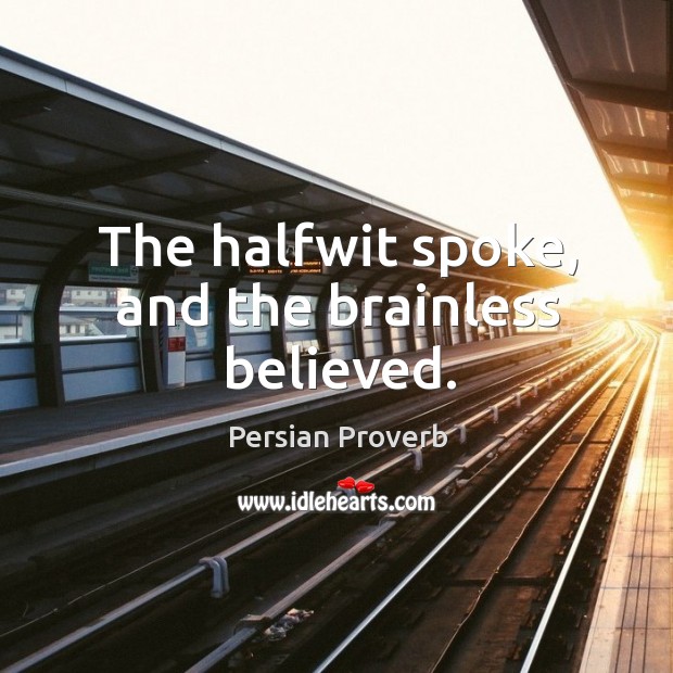 The halfwit spoke, and the brainless believed. Persian Proverbs Image