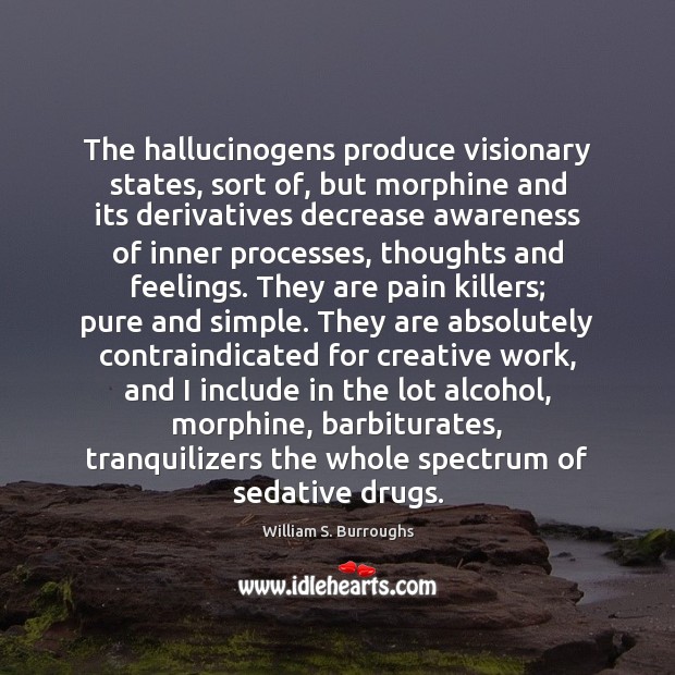 The hallucinogens produce visionary states, sort of, but morphine and its derivatives William S. Burroughs Picture Quote