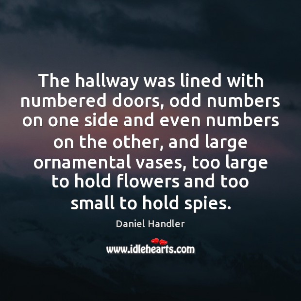The hallway was lined with numbered doors, odd numbers on one side Daniel Handler Picture Quote
