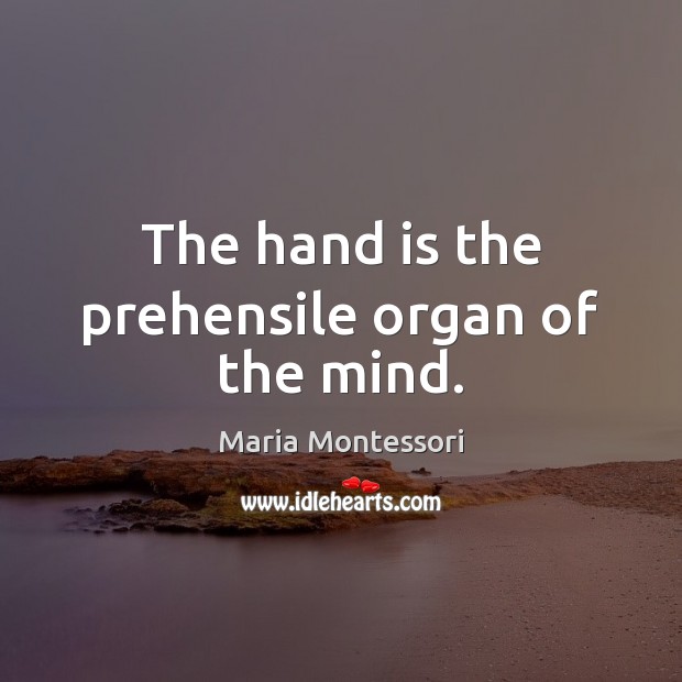 The hand is the prehensile organ of the mind. Maria Montessori Picture Quote