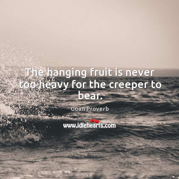 The hanging fruit is never too heavy for the creeper to bear. Goan Proverbs Image